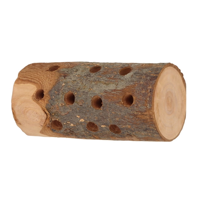 Natural Wood Stand Stick,Hamster Log Chew Toy Rabbit Log Chew Teeth Care Toy Parrot Wooden Standing Stick World-Class Design