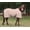 Adobe Rose, variant on TuffRider Comfy Mesh Standard Neck Fly Sheet