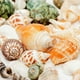 Coquillages de Crabe Ermite Conque de Mer Naturelle Différents Styles Tailles Aquarium Aménagement Paysager Ornements Décoratifs – image 4 sur 9