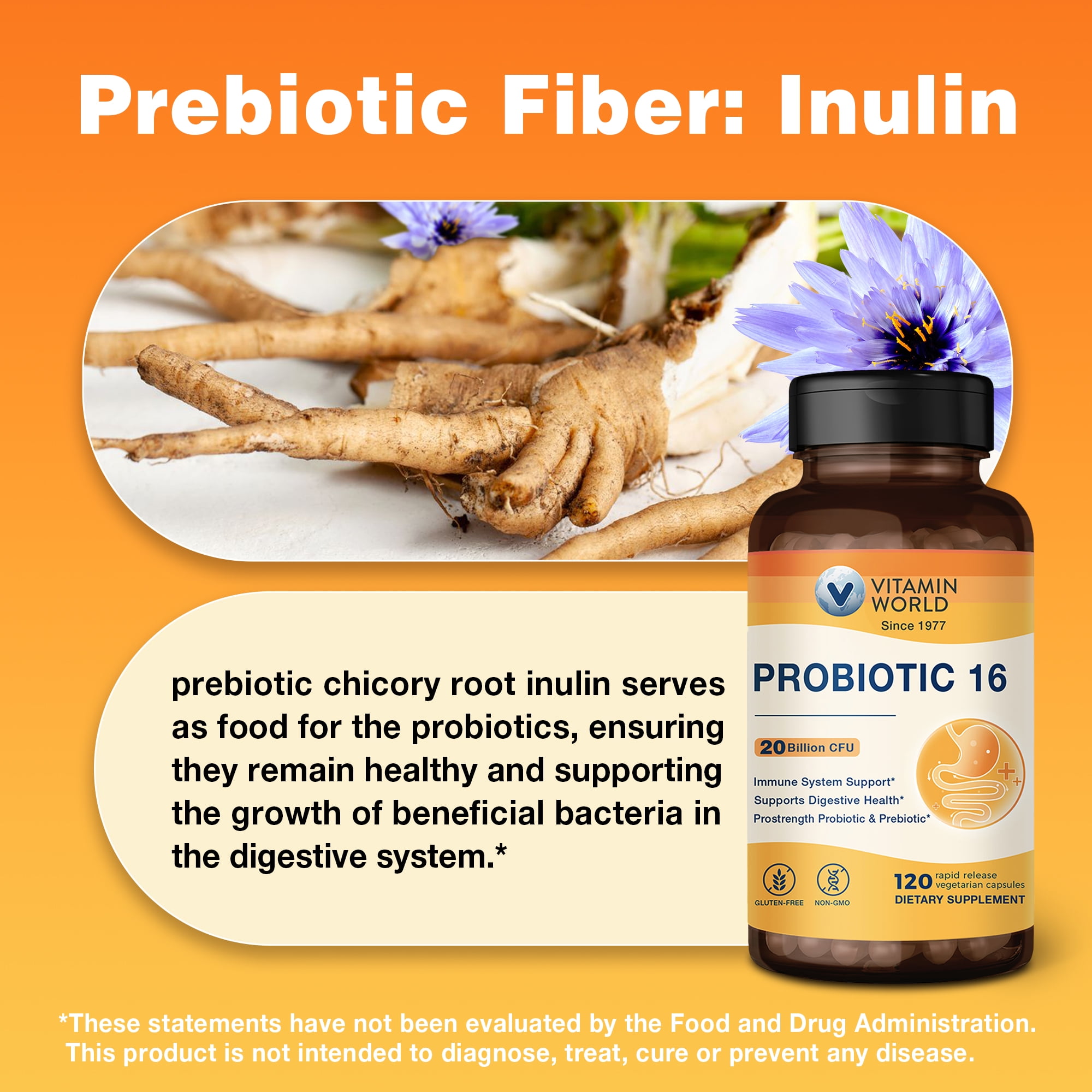 Vitamin World Probiotic 16, 20 Billion CFU, 16 Strains with Prebiotic Fiber for Digestive & Immune Health, Probiotics for Women & Men, Non-GMO, Gluten Free, 120 Veggie Capsules, 60 Day Supply
