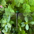 thumbnail image 5 of 20 PCS 3D Dragonfly Clips for Bugs Repellent Outdoor, Artificial Dragonfly Hat Clips Garden Decor, Dragonfly Clips to Keep Bugs Away Black Set, 5 of 8