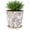Grey Camellia, variant on Ceramic Flower Pots For Indoor Plant, 5.5 Inch Small Ice Crack Plant Pots With Drainage Hole & Saucer, Decorative Vintage Planters For Succulent Herb Cactus Mint Basil, Garden Pot For Home Decor