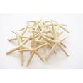thumbnail image 3 of Set of 6 Small White Finger Starfish 2" - 3" Beach Weddings Crafts Coastal Decor Nautical, 3 of 4