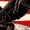 Black2, variant on Women's Patriotic Vintage Flag Eagle Print Short Sleeve T-Shirt Black S-5XL Casual Crewneck Top
