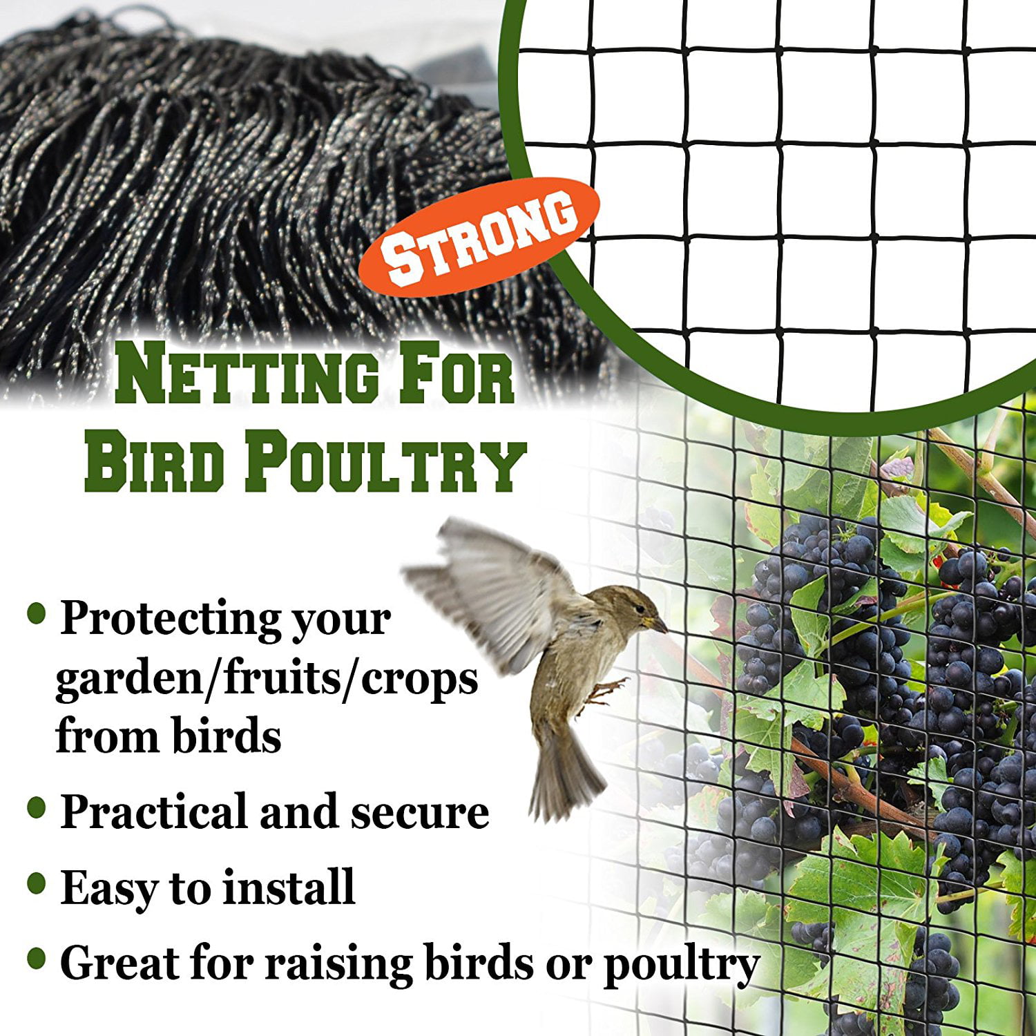 Bird Netting Zhucha Garden Netting Poultry Netting Protect Plants and Fruit Trees Deer and Other Pests Poultry Lasting Against Birds Heavy Duty Pond Aviary Net 