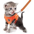 thumbnail image 1 of LAICAIW Dog Harness and Leash Set, No Pull Reflective Adjustable Pet Soft Mesh Chest Vest Harnesses Easy Control for Small Medium Dogs and Cats Outdoor Walking, 1 of 7