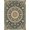 Teal Coral Ivory, Pattern 12, variant on ODIKA Under Vintage Distressed Border Ornate Scrollwork Large Dining Flowing Dynamic Stain Resistant Low Profile for Dorm Room, Small Living Apartment