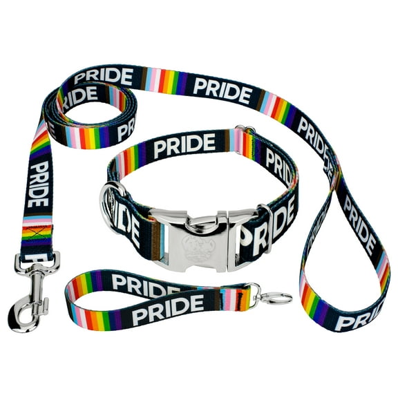 Country Brook Petz® Premium Pride Dog Collar and Leash, Medium