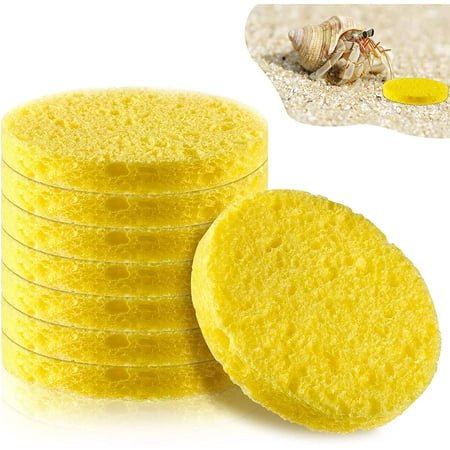 8 Pieces Hermit Crab Sponges Pets Crab Real Sea Sponges Unbleached ...