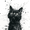 Abstract Black Cat Splatter Art, variant on Qisvanset Sailboat Sunset Canvas Wall Art 15.75x11.81 INCHES