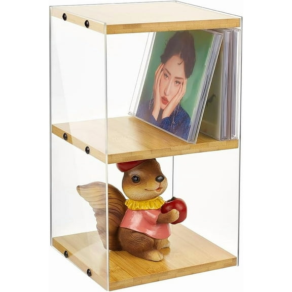 2 Tier Retro Wood Clear Acrylic CD Storage Rack Holds 30 CD Case DVD Organizer Shelf for Movie Video Games Collectible DVD Media Display Stand Tower Holder Shelf colorful