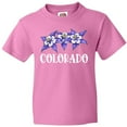 thumbnail image 3 of Inktastic Colorado Columbine Flowers Youth T-Shirt, 3 of 5