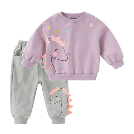 

JDEFEG Clothes Size 7 Boys Toddler Kids Baby Boy Girl Cartoon Long Sleeve Sweatshirt Pullover Tops Sweatpants Cute Clothes 2Pcs Tracksuit Outfits Set Sweatsuit Boys 10 12 Purple 130