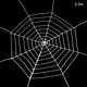 thumbnail image 2 of Toystoory SpiderWeb Halloween telaraña Terror fiesta decoración Bar casa embrujada Halloween arañas Web decoración de Halloween 1,5/2,5 m Kits de decoración para fiestas Blanco 2.5 m Toystoory HA007461-03B, 2 of 6