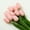 Pink, variant on 10Pcs Blush Artificial Tulips Silk Flowers, Long Stem and Green Leaves, Fake Flowers Decoration for Vase, Wedding, Party, Kitchen, Office, Home, Bedroom, Table Centerpiece Decor