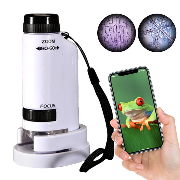 Microscopio bolsillo Mini 60x-180x con científicos LED para