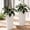 White, variant on TopComfy 23.6" Tall Outdoor Planters Set of 2, Large Plastic Flower Pots with Drainage Holes, Striped Tapered Planters for Front Porch, Patio, Garden & Indoor Plants, White