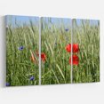thumbnail image 1 of Designart - Rural Landscape with Red Poppies - Large Landscape Canvas Art, 1 of 1