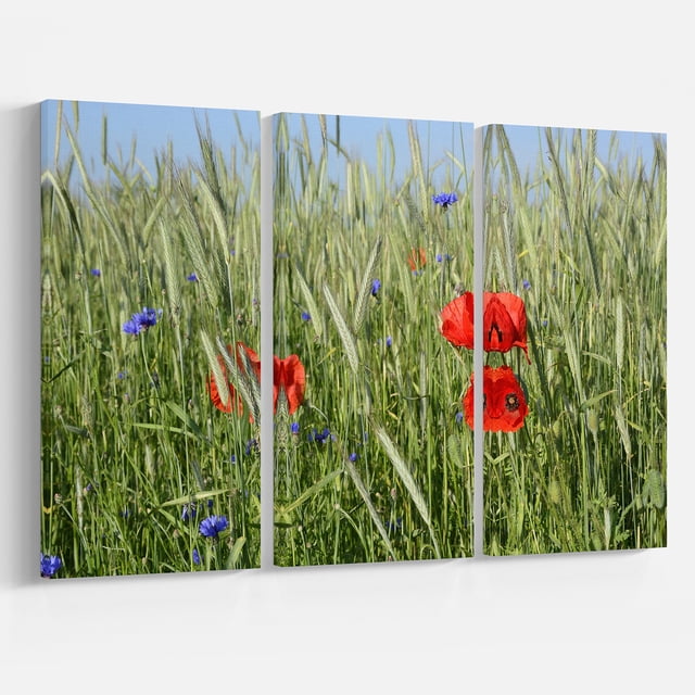 Designart - Rural Landscape with Red Poppies - Large Landscape Canvas Art