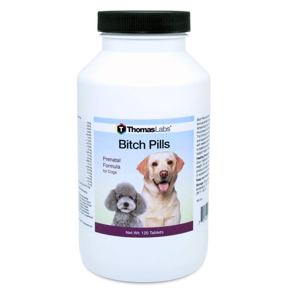female dog fertility supplements