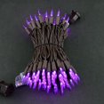 thumbnail image 2 of Luces navideñas navideñas LED moradas de 33 pies, 100 unidades, 2 of 6