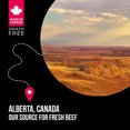 thumbnail image 5 of Adult - SubZero Grain Free - Prairie Red - Dry Dog Food, 5 of 5