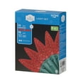 thumbnail image 4 of Holiday Time 70-Count Red Diamond-Cut LED C6 Christmas Lights, with Green Wire, 15.7', 4 of 4