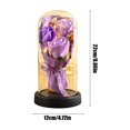 thumbnail image 3 of Matoen Preserved Flowers Gifts for Her, Light Up Rose in Glass Dome, forever Flowers Gift Box, Valentine's Day Anniversary Birthday for Wife, Women, Mom, 3 of 6