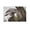 Unframe-style, variant on Owl Cute Bird Animal Canvas Wall Art Prints Poster Gifts Photo Picture Painting Posters Room Decor Home Decorative 08x12inch(20x30cm)