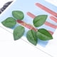 thumbnail image 3 of Hojas verdes artificiales Woohome Bulk Rose, 250 unidades, para bricolaje, 3 of 8
