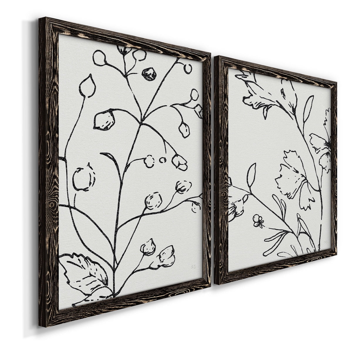 Botanical Sketch I - Premium Framed Canvas 2 Piece Set - Ready to Hang