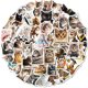 thumbnail image 1 of Paquete de pegatinas con forma de gracioso gato, 50 unidades, memes con disfraz para manualidades, 1 of 2