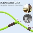 thumbnail image 3 of YIXIGGC Slip Lead Control Leash for Dogs No Pull, 13+ Colors Classic Dog Leash 6FT Pet Slip Leash, 1/4\u201d Rope Leash for Small Medium Animals Green DYF329-2211, 3 of 8