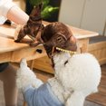 thumbnail image 2 of Shisuyan Lovely Dinosaur Hand Puppet Funny Children's Hand Puppet Toy for Story Talking, 2 of 8