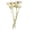 Frosted Basil, variant on Vickerman 8-12" Bleached Rosette Compacta - Sleeved 5 stems, Dried