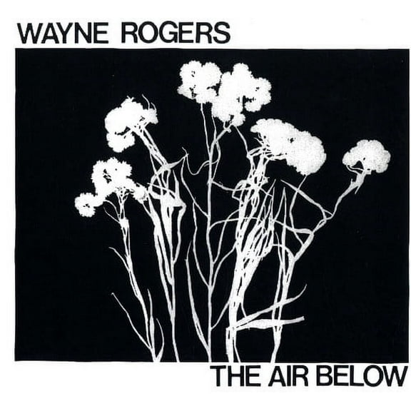Wayne Rogers - Air Below - Music & Performance - Vinyl