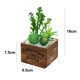 thumbnail image 2 of Laklulu Bonsai artificial de la flor de la decoración de la planta, planta en maceta carnosa del pote de madera cuadrado, 2 of 5