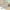 White Rug, variant on Werulen Cute Floor Mat Up To 51% Off Plush Area Rugs For Bedroom Turquoise Green, 63x60 Inches Rug, Shag Rugs For Living Room, Furry Carpet For Kids Girl Room, Plush Indoor Throw Rug For