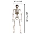thumbnail image 3 of 2-Pack 3ft Posable Skeleton Halloween Decorations, Plastic with Movable Joints, Realistic Design, Easy Assembly, for Halloween Parties Houses Scary Atmosphere, 3 of 6