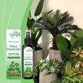 thumbnail image 2 of Plant Insecticide Household Flower and Green Plant Insect Removal Special Cleaner, 2 of 11