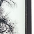 thumbnail image 4 of Yosemite Home Decor "Winters Morning Fog II" Glass Photographic Art in Black, 4 of 5