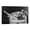 Frame-style, variant on Film Noir Actresses Anita Ekberg Retro Sexy Poster Poster Cool Artworks Painting Wall Art Canvas Prints Hanging Picture Home Decor Posters Gift 16x24inch(40x60cm)