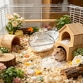 thumbnail image 6 of 2-in-1 Hamster Bathroom & Toilet – Sand Bath House & Potty Box for Small Animals | Dirt Proof, Prevents Sand Spatter | Easy Clean – Clear Plastic, 5.12in, 6 of 6