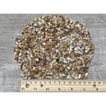 thumbnail image 5 of WHOLESALE Natural Semi Tumbled Fossil Coral Gemstone Chips, Fossil Coral Crushed Mini Crystals, Undrilled (Fossil Coral, 0.5 Pound), 5 of 8