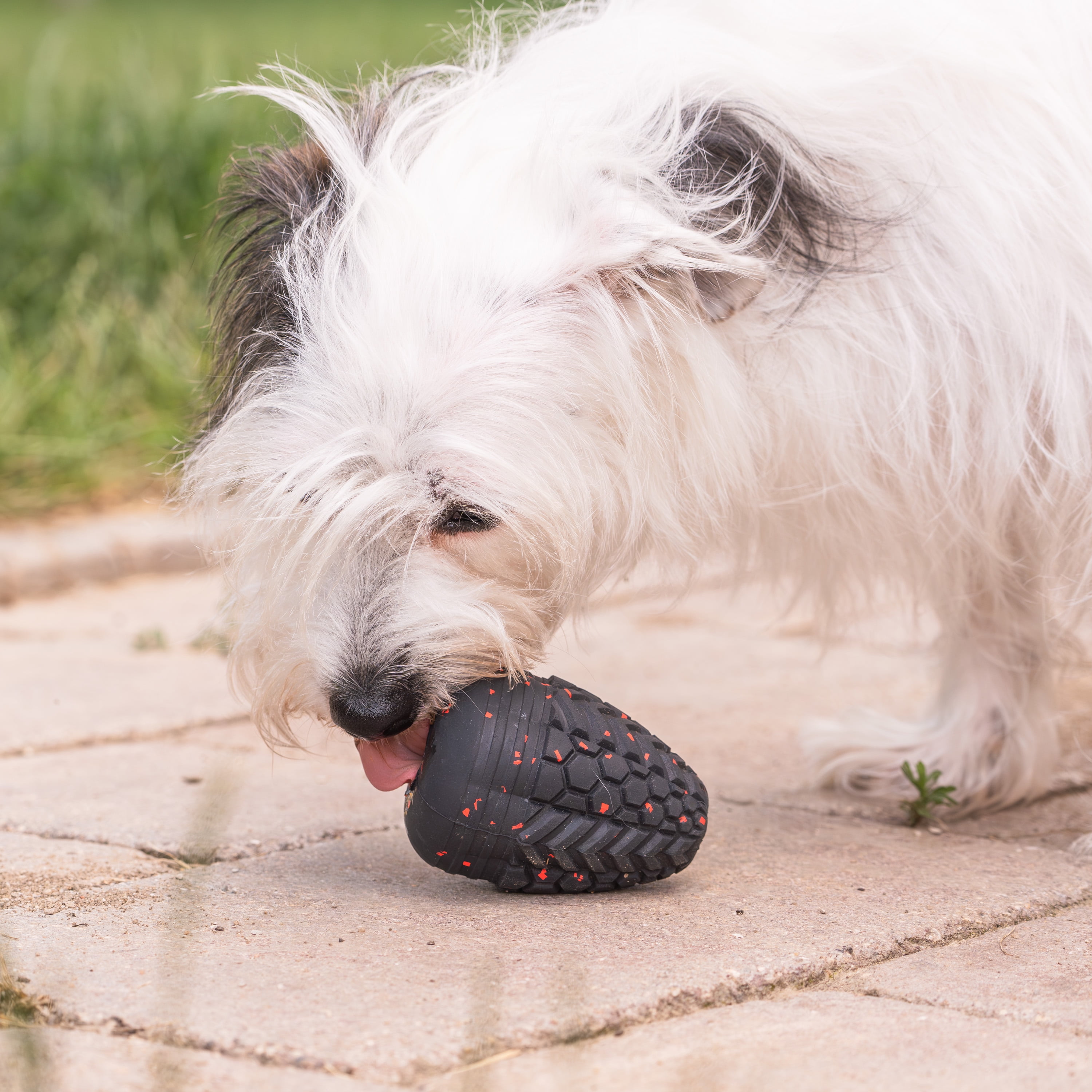 Chew King By Mammoth Supreme Dog Toy Collection, Durable All-Natural Supreme Treater, Medium