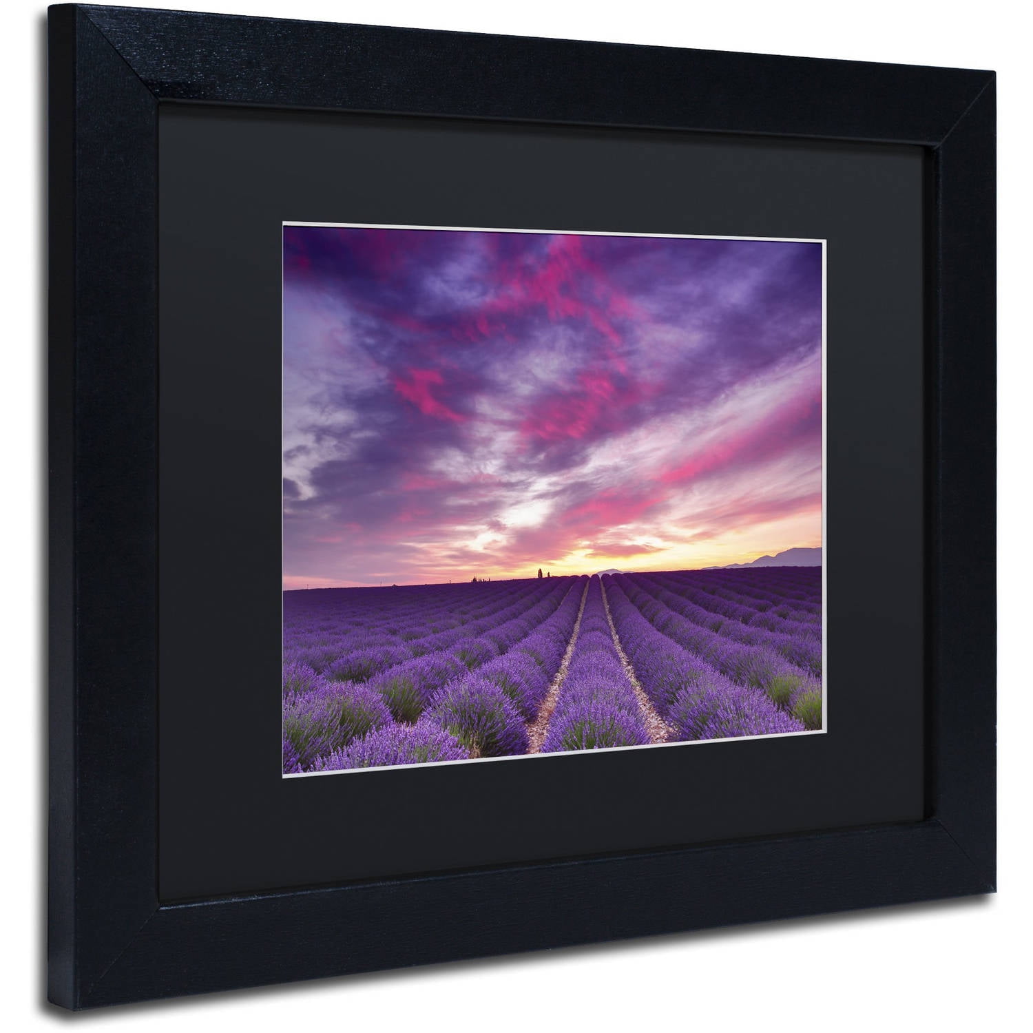 Trademark Fine Art 'Pink and Purple' Canvas Art by Michael Blanchette Photography, Black Matte, Black Frame