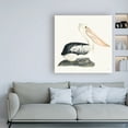 thumbnail image 3 of Trademark Fine Art 'Tropical Fun Bird II' Canvas Art by Harriet Sussman, 3 of 3