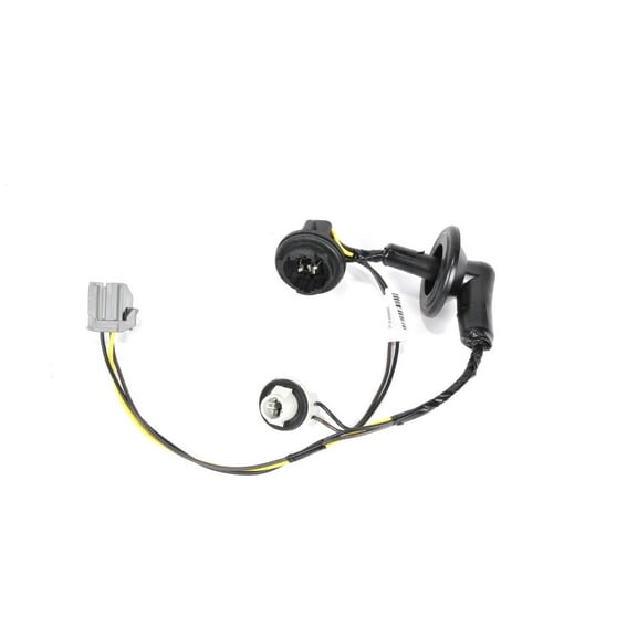 Tail Light Wiri (P1)