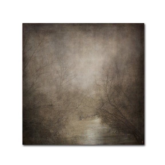 Trademark Fine Art Jai Johnson Hidden Waters Canvas Wall Art - 35x35