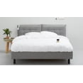 thumbnail image 3 of Cama Queen Size Kessa Muebles Tate Gris Claro, 3 of 4